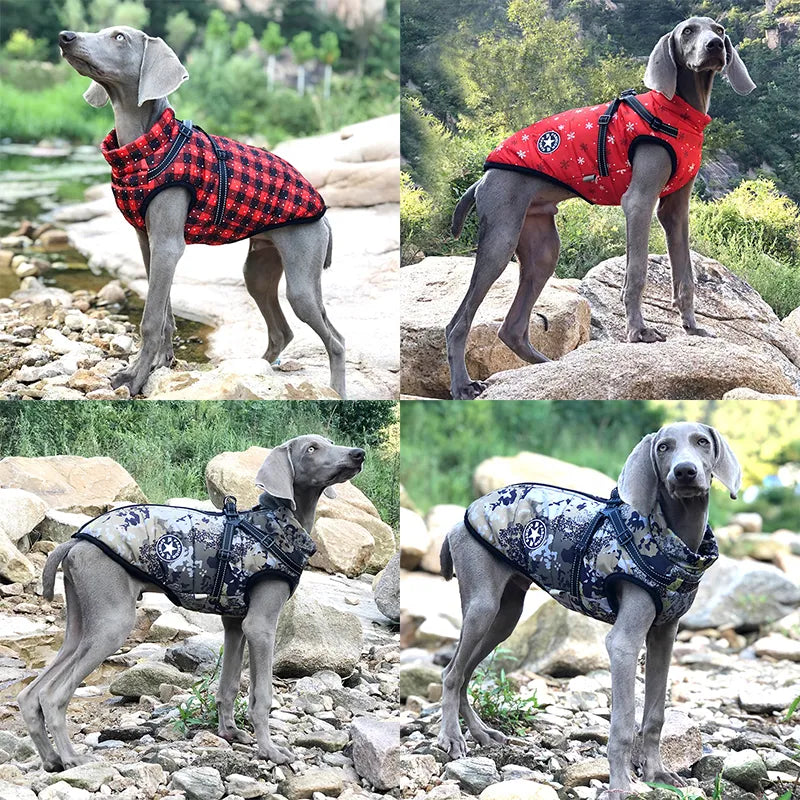 Paws Elite™ All-Weather Jacket